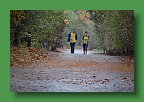 Bos- en Natuurloop 085